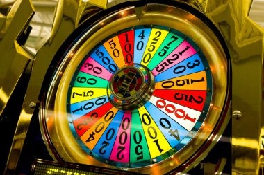 navy togel Terms & Conditions for navy togel